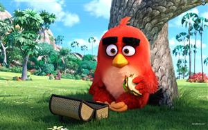 The Angry Birds Movie